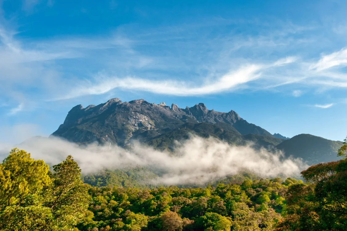Mount Kinabalu rising above forest and clouds in Sabah